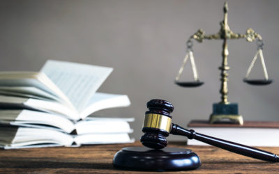 שמאי מקרקעין לערעור